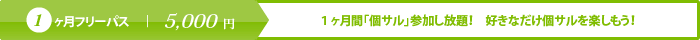 1ヶ月フリーパス　｜　5,000円
